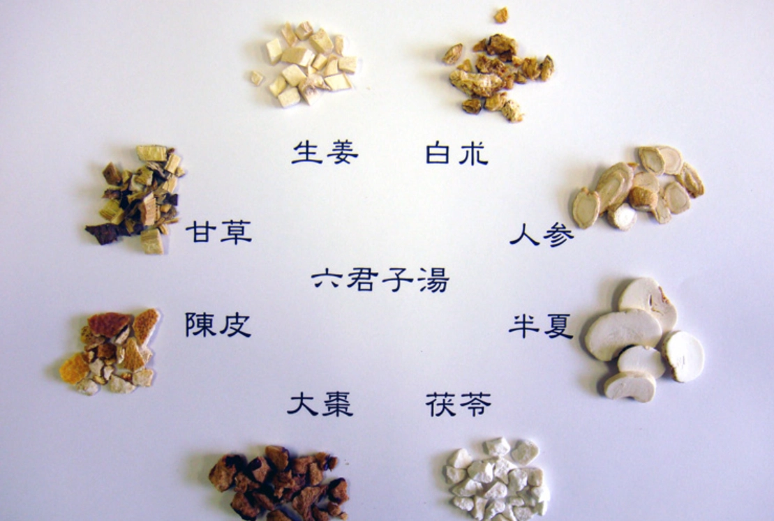 半瀉六君子湯調理脾胃虛弱：從腹瀉到消化不良的實用指南