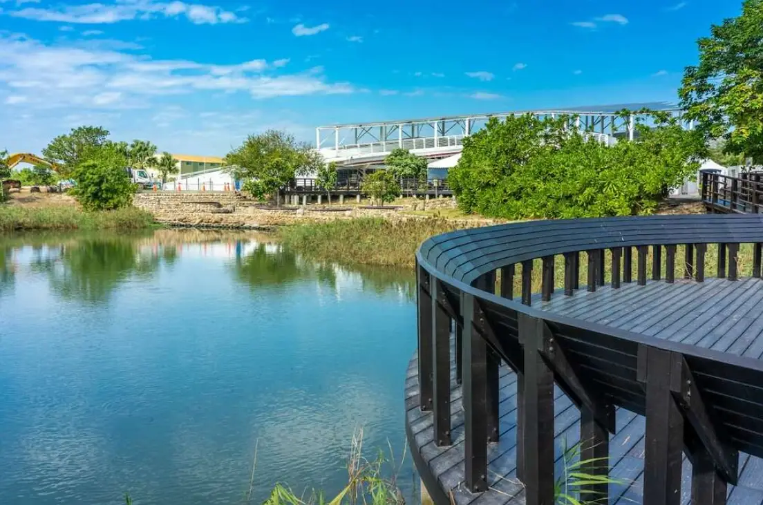 雲林口湖一日遊：濕地秘境、美味海鮮與夕陽絕景完整攻略