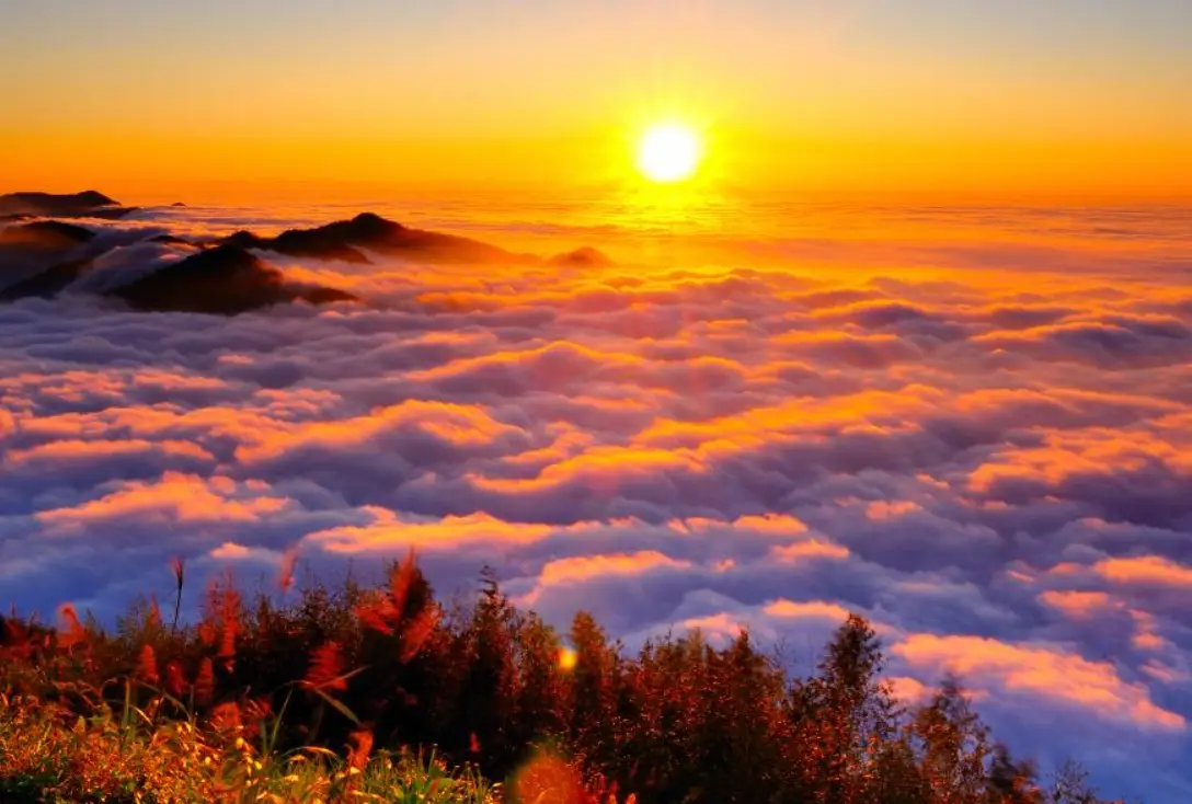 奮起湖到阿里山多久？交通時間、路線規劃與實用攻略全解析