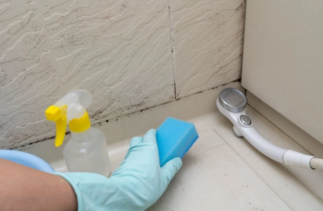 過碳酸鈉除霉比例終極指南：安全有效的清潔配方大公開