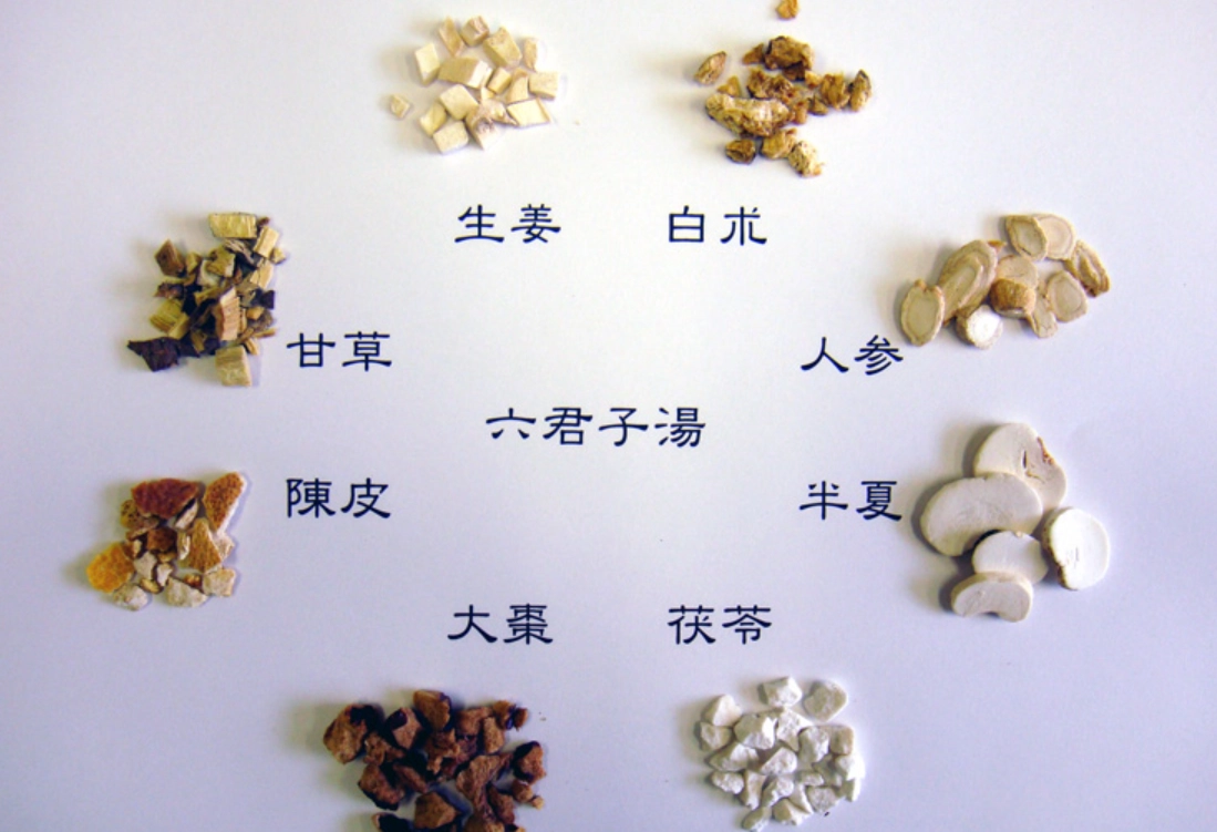 六君子湯服用時間 六君子湯服用時間