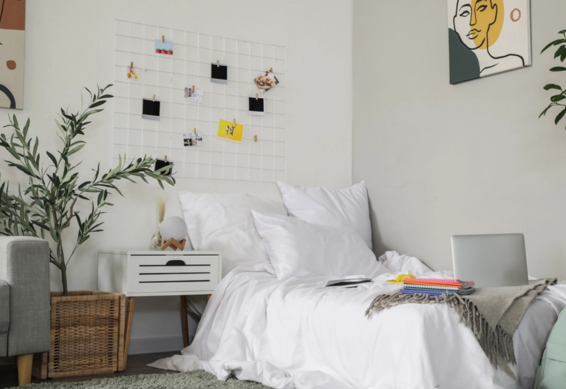 適合臥室的植物