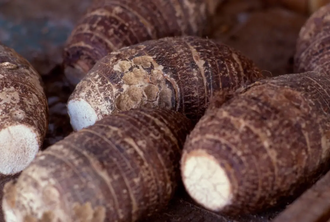 芋頭減肥全攻略：健康瘦身不復胖的秘訣