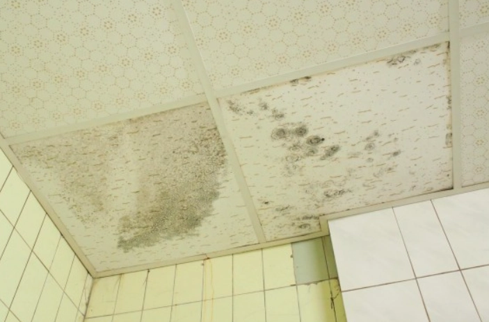 天花板掉粉塵原因