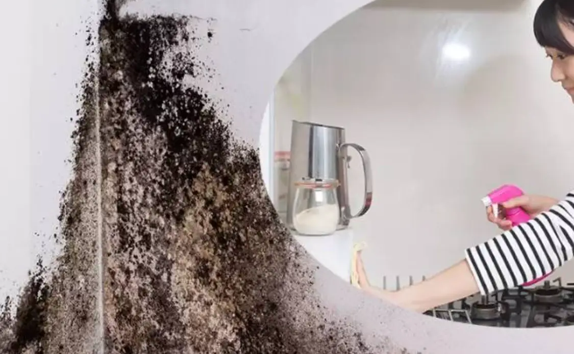 牆壁發霉處理