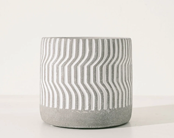 室內植物夏天照顧