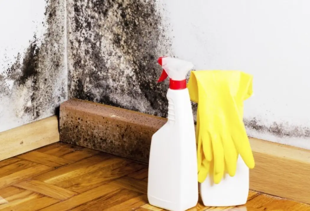 牆壁發霉處理