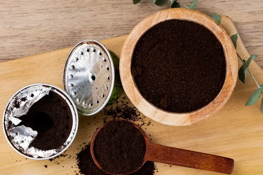 咖啡渣堆肥比例