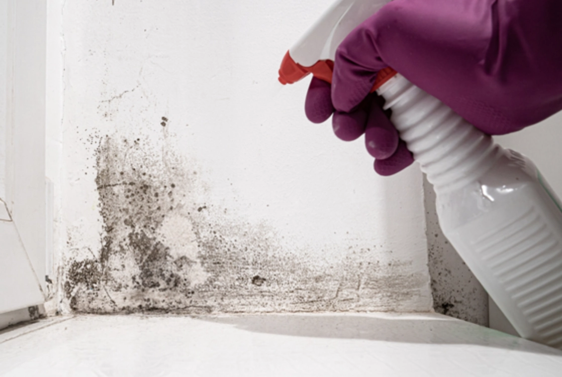 牆壁發霉別驚慌！酒精除霉實戰指南與常見誤區解析