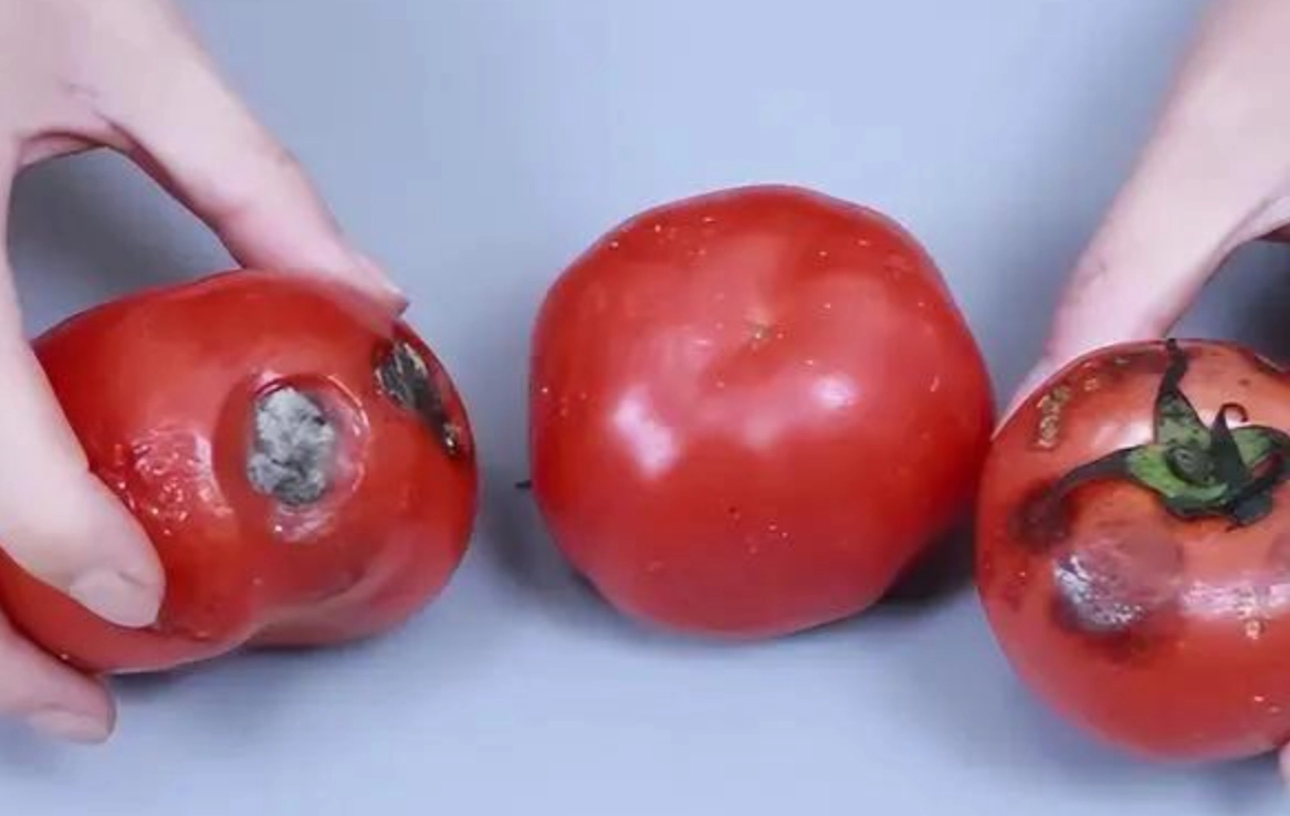 如何判斷蔬菜是否壞掉