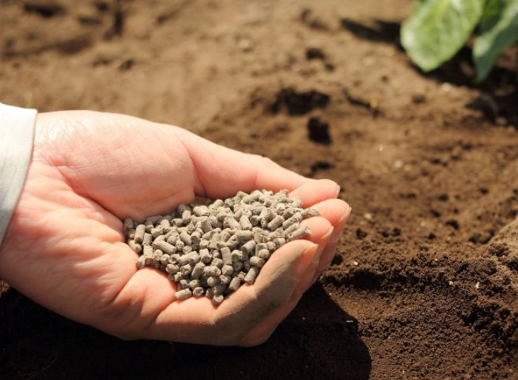 揭密肥料硼：植物隱形守護者的關鍵角色與正確使用指南