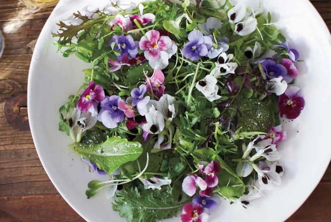 可食用花瓣指南：從挑選、處理到創意入菜，一次搞懂安全與美味秘訣