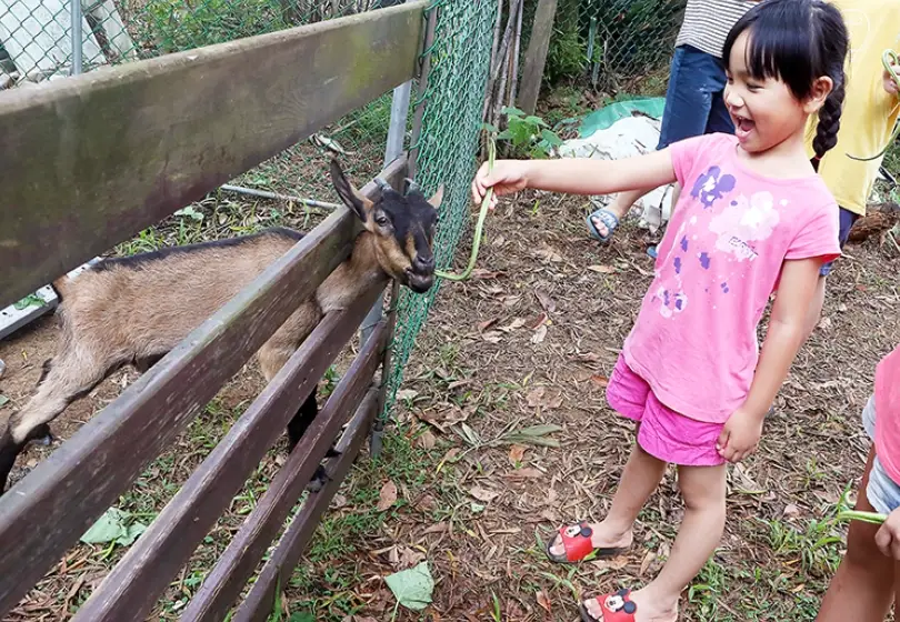 親子農場一日遊