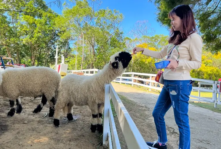 北部親子農場懶人包：5大必訪推薦與完整攻略