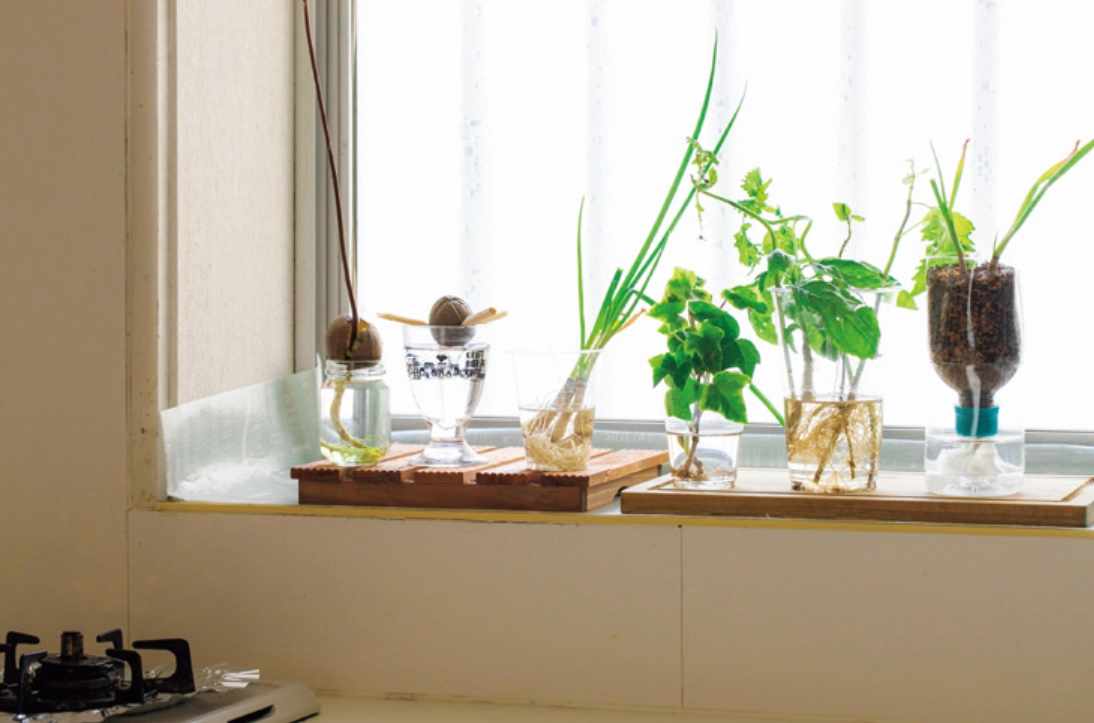 水耕營養液配方