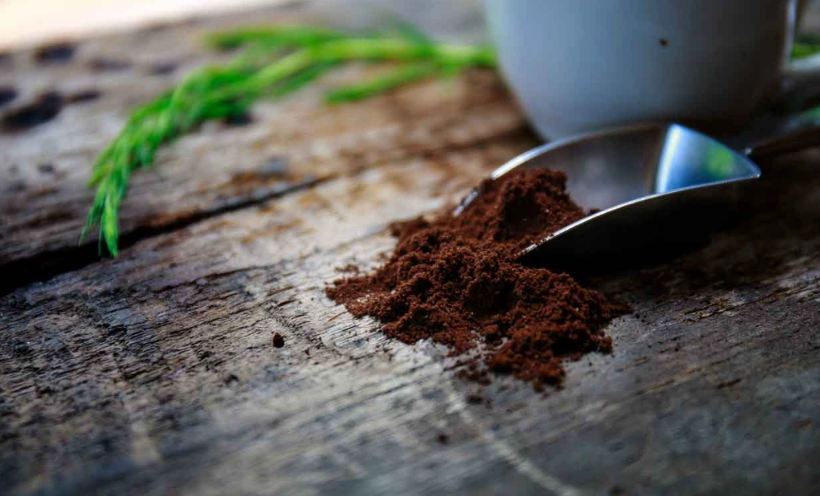 咖啡渣堆肥缺點大公開：避開5大地雷，新手也能成功