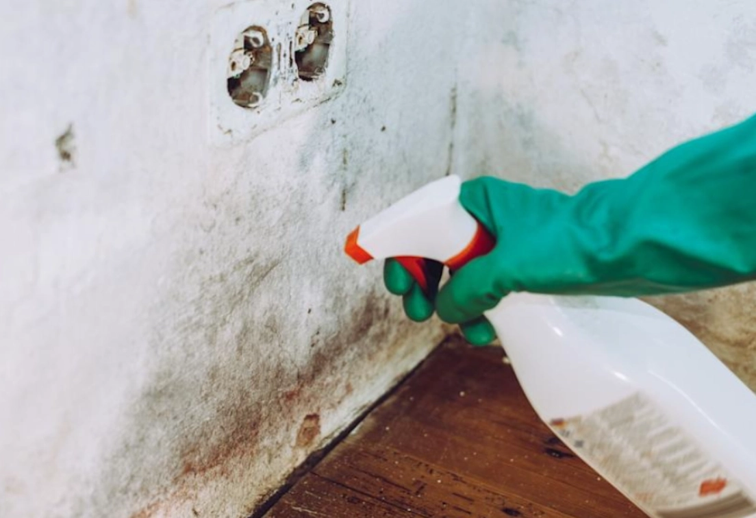 牆壁發霉處理