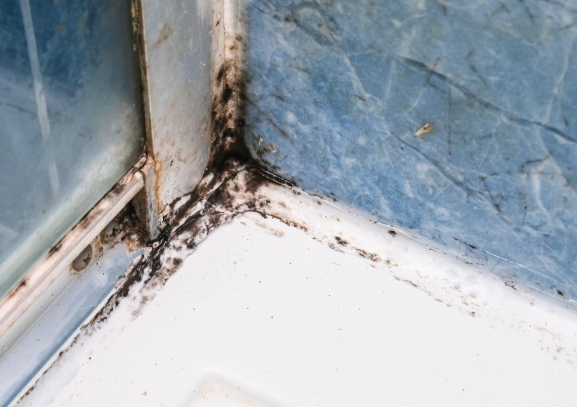 玻璃門膠條更換