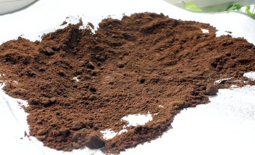 咖啡渣堆肥失敗