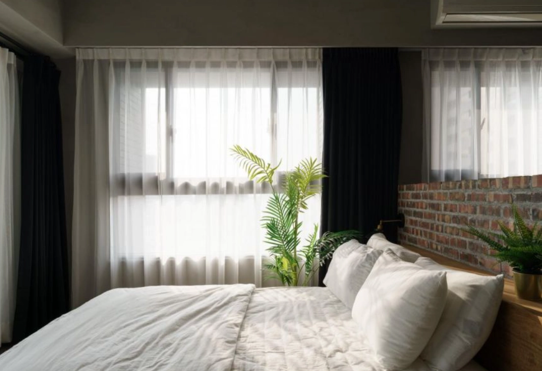 適合臥室的植物