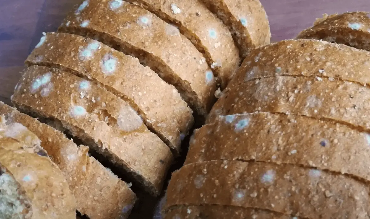 不小心吃到發霉食物怎麼辦？醫師教你5步驟緊急處理與長期觀察重點