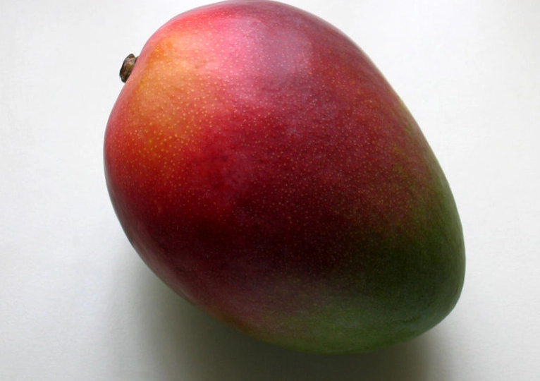 從愛文種子到芒果樹：我的實戰栽種指南與常見誤區解析