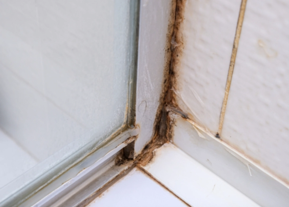 浴室玻璃門膠條發霉怎麼辦？清潔、預防與更換全攻略