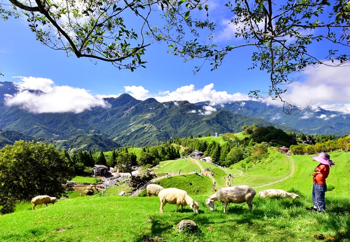 台灣農場排名TOP5大公開：親子同樂、情侶約會、網美打卡全攻略