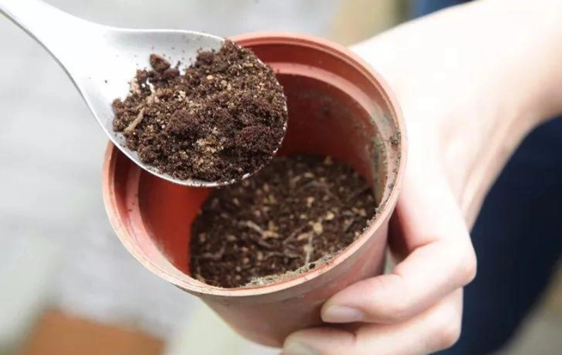 咖啡渣堆肥失敗