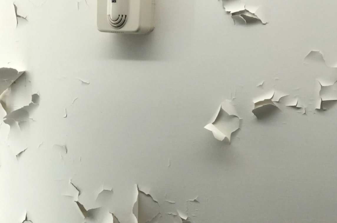 天花板油漆剝落修補完整指南：DIY步驟與專業建議