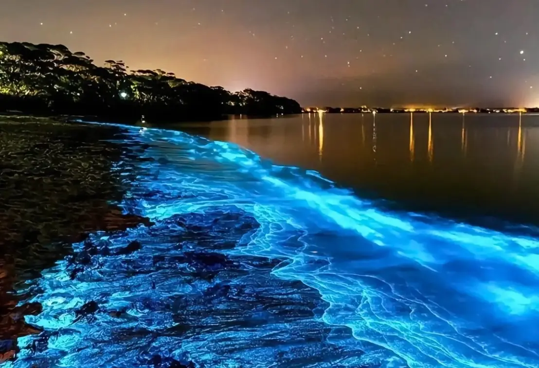 藍眼淚拍攝技巧全攻略：從參數設定到後期修圖一次掌握