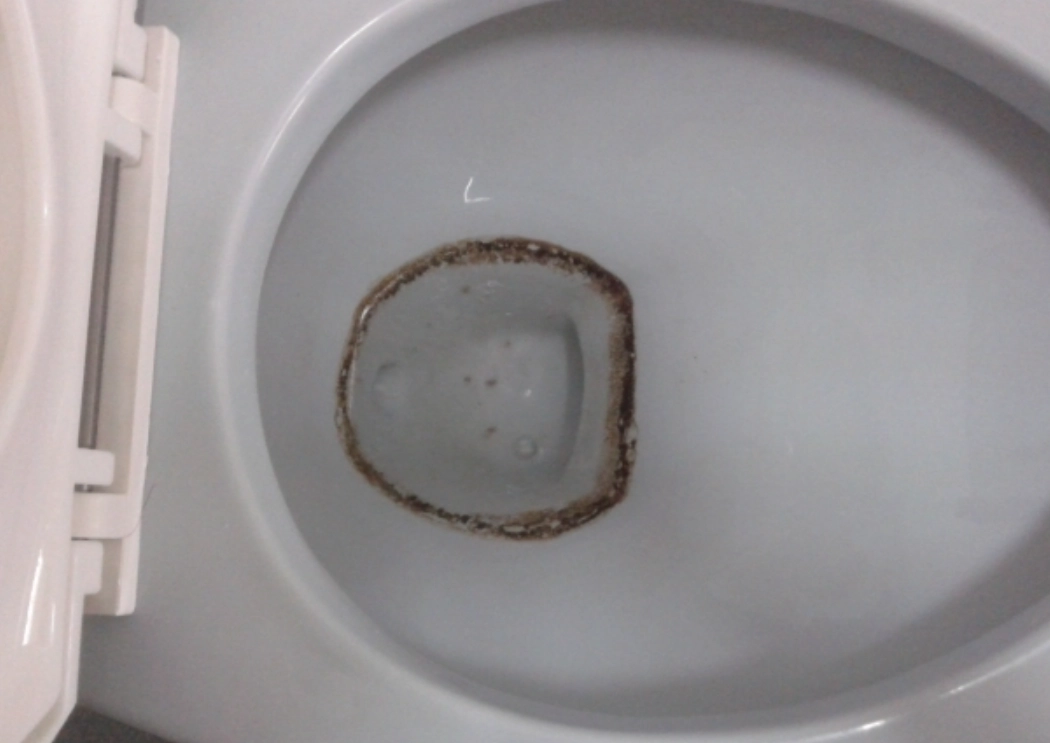 馬桶黑垢清潔