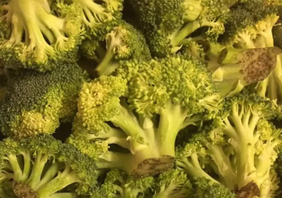 綠花椰菜變黃可以吃嗎