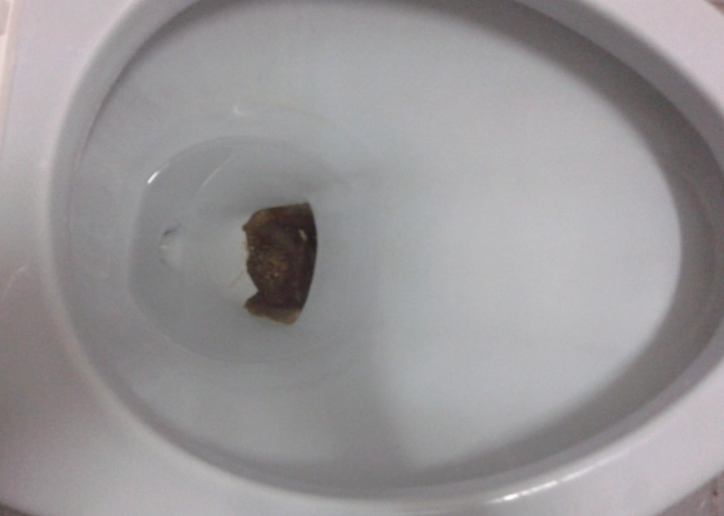 馬桶黑垢原因全解析：告別頑固污漬的清潔秘訣