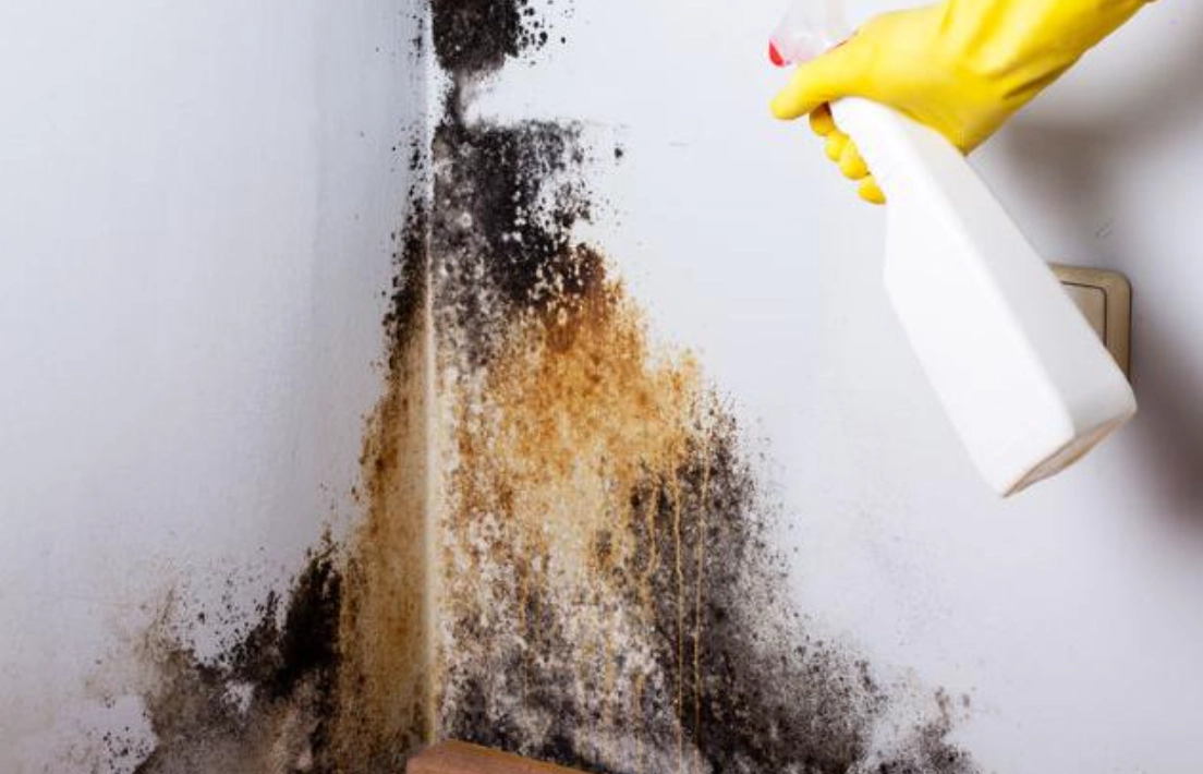 牆壁防霉
