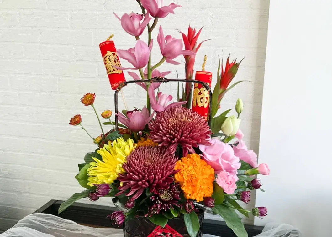 虎頭蘭盆栽養護全攻略：從選購到開花的實戰技巧