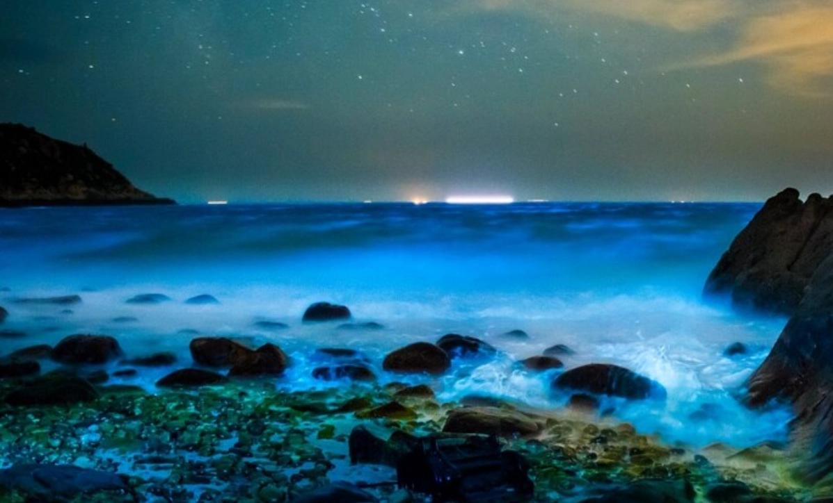 藍眼淚拍攝參數