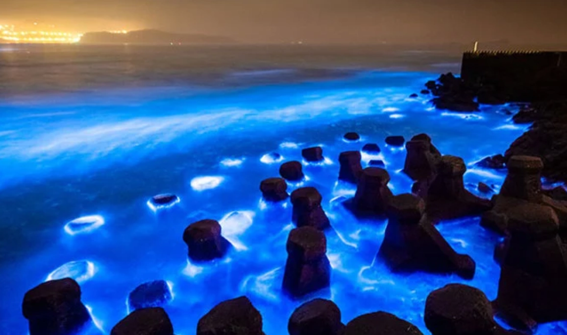 藍眼淚拍攝參數