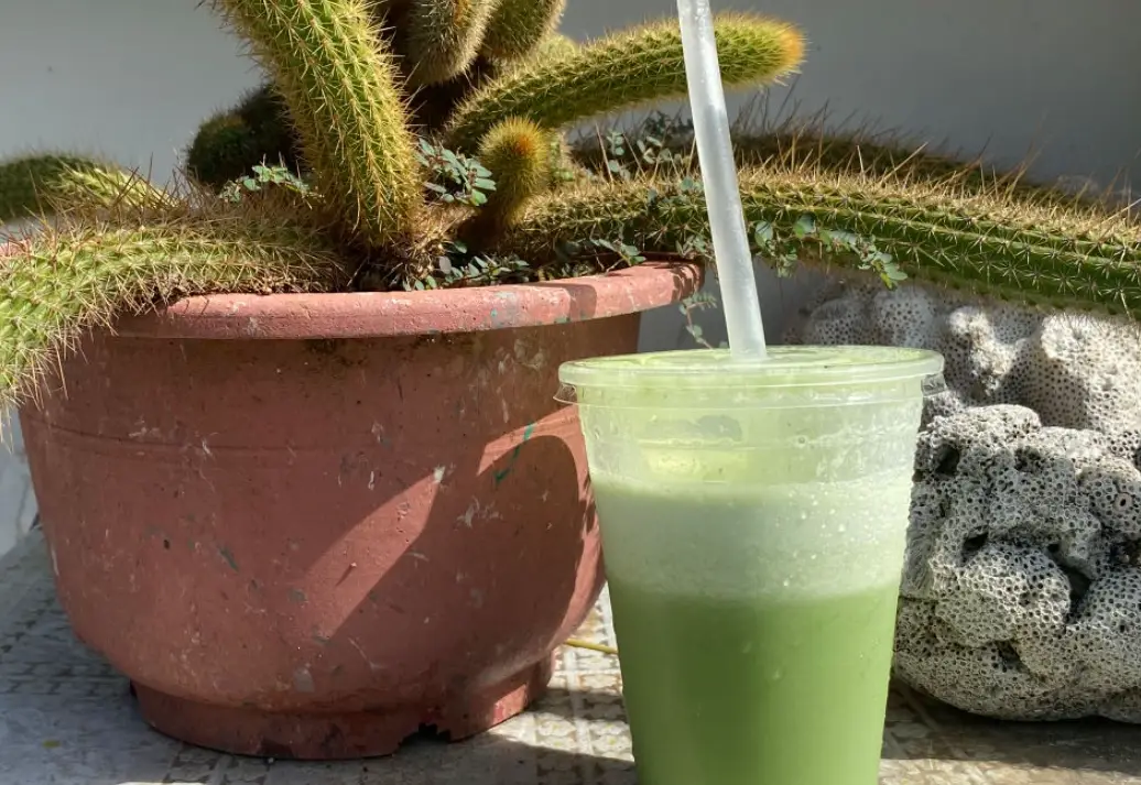 仙人掌汁怎麼喝