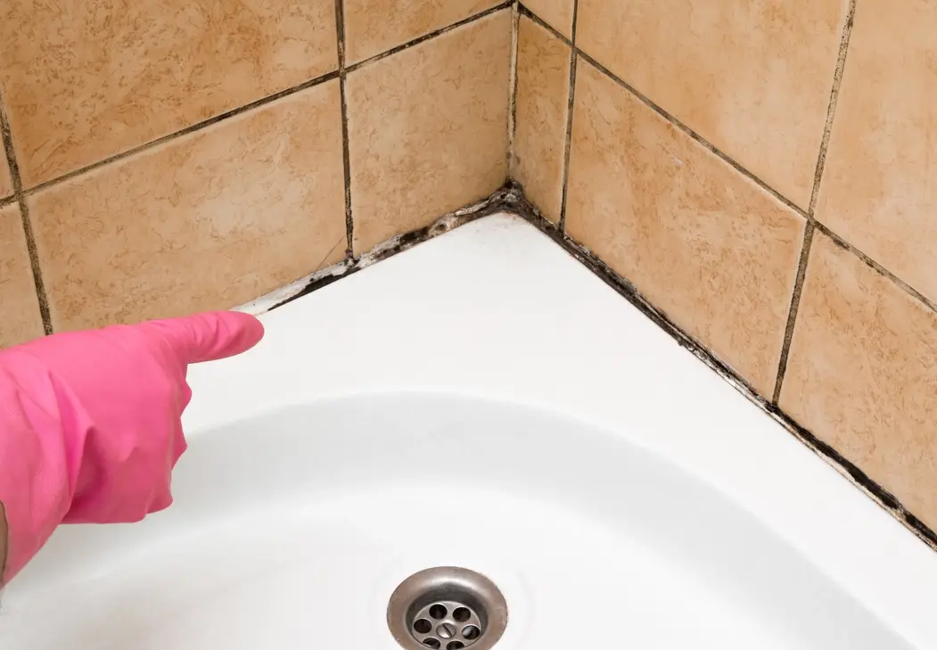 居家霉菌處理終極指南：從DIY到專業除霉一次搞懂