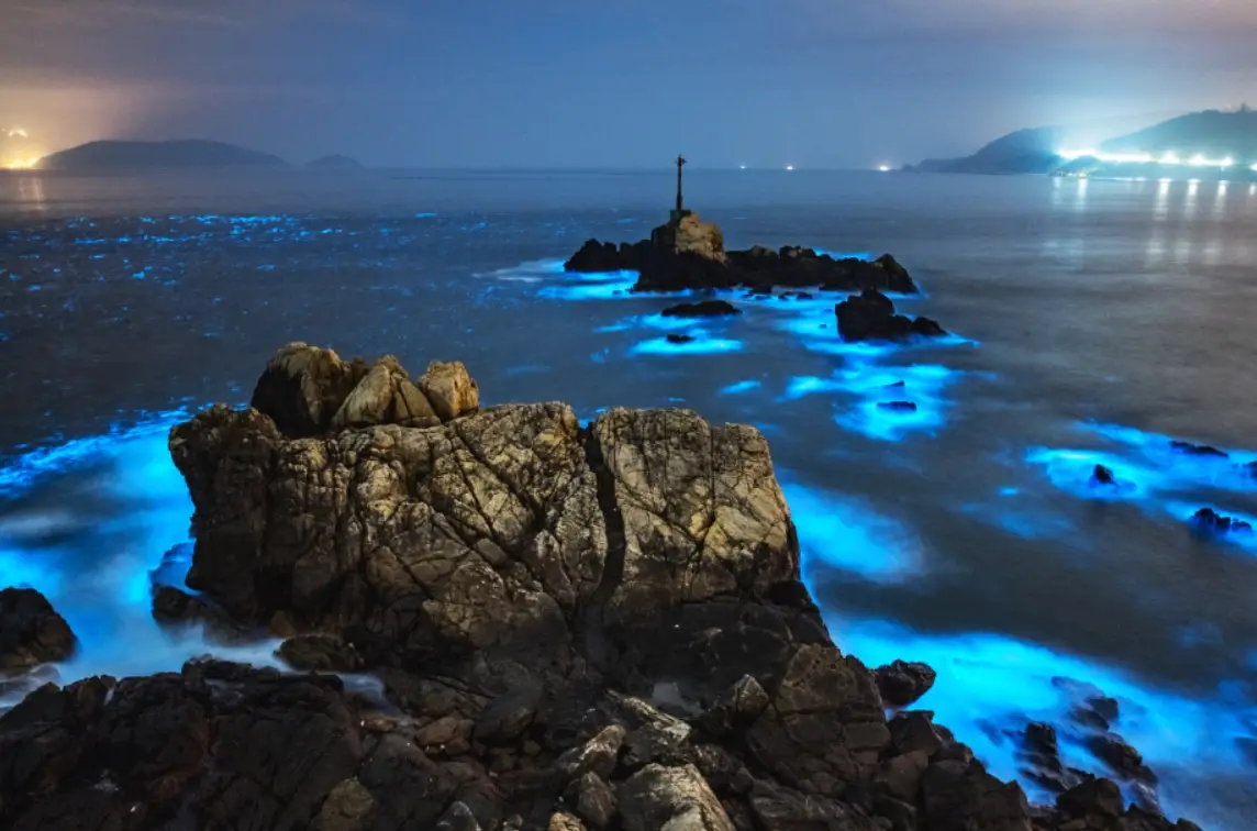 馬祖藍眼淚追淚全攻略：季節、地點、拍攝技巧一次掌握