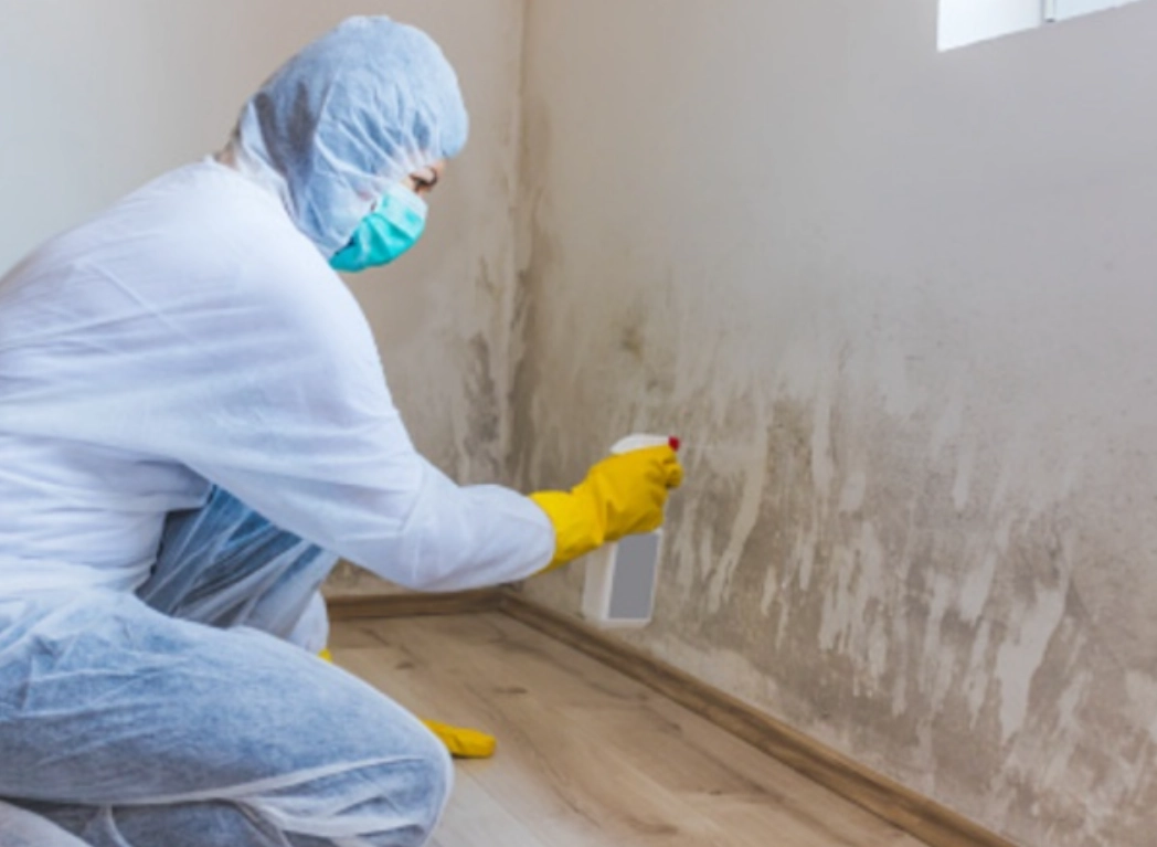 油漆牆壁發霉處理全攻略：從根源解決到長期預防