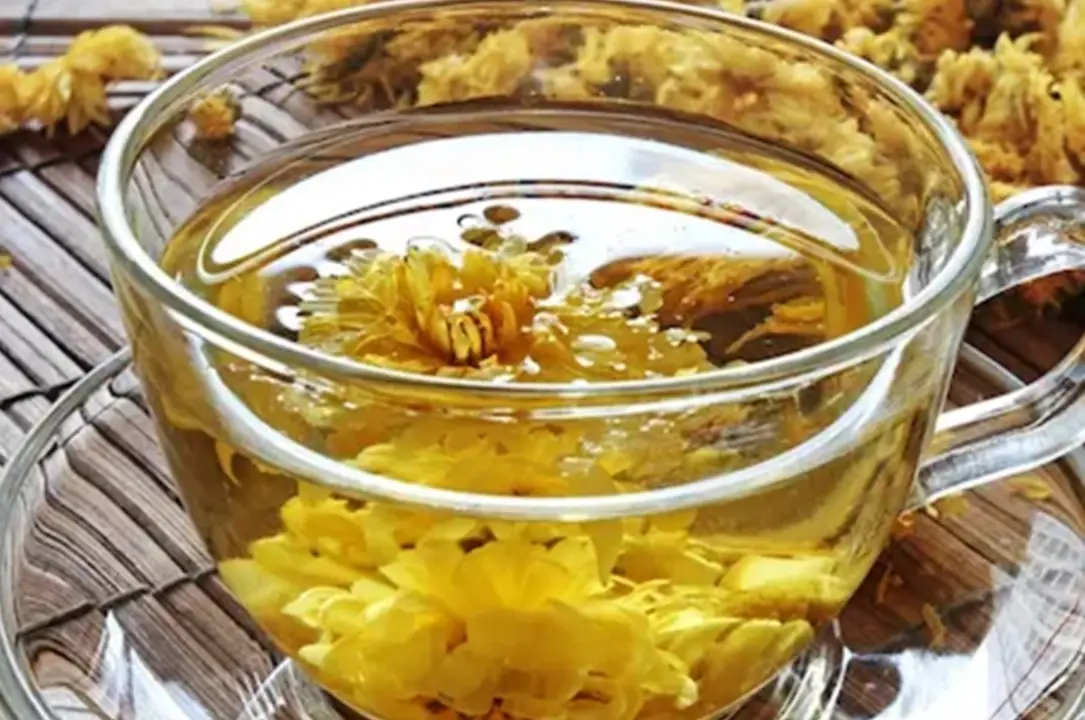 菊花茶的菊花可以吃嗎？完整解析食用安全與實用指南