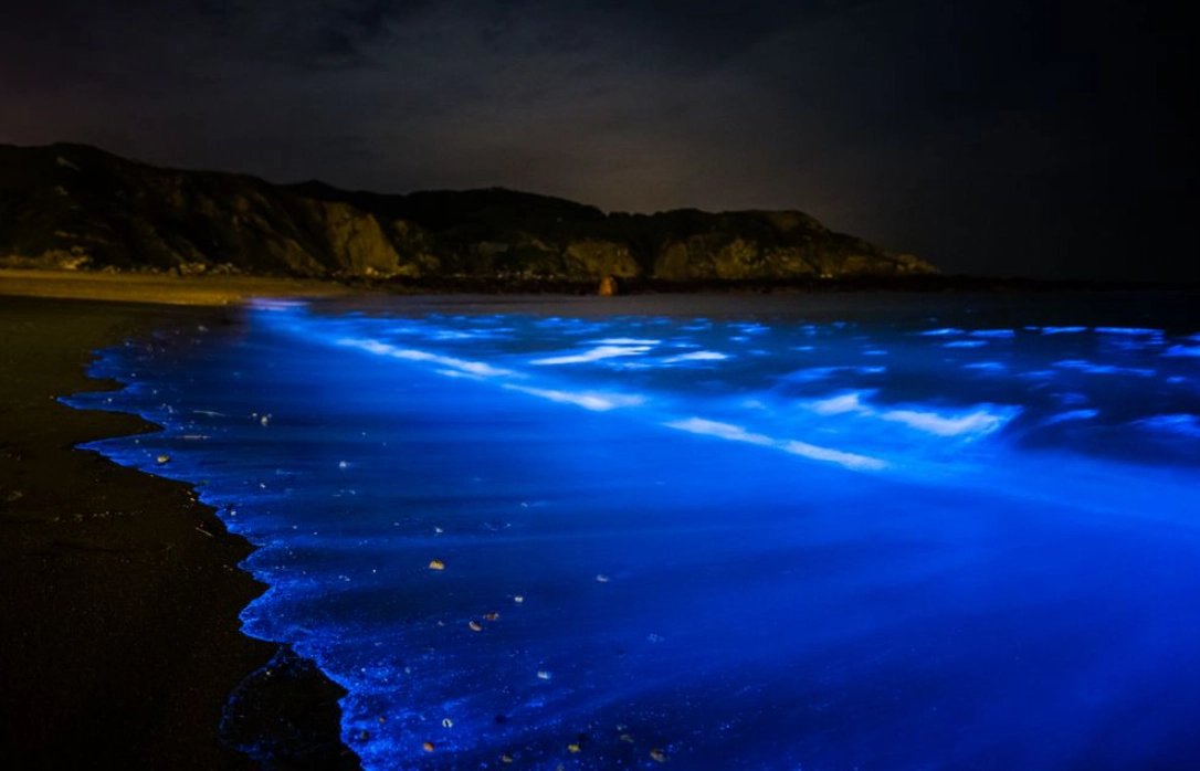 藍眼淚拍攝地點