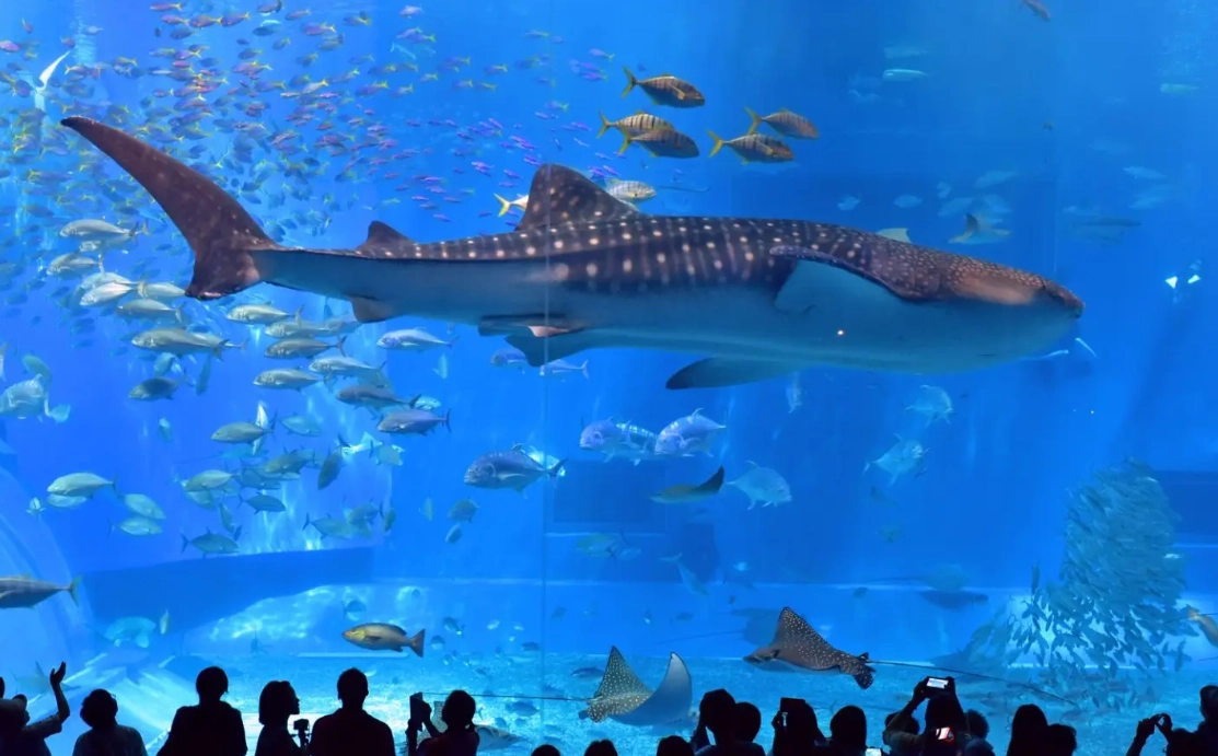 沖繩自由行攻略