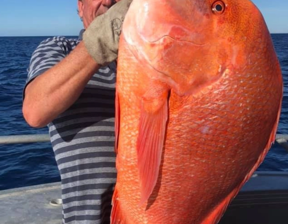 夢到很多大魚代表什麼？解夢專家教你從3個層面深度解析