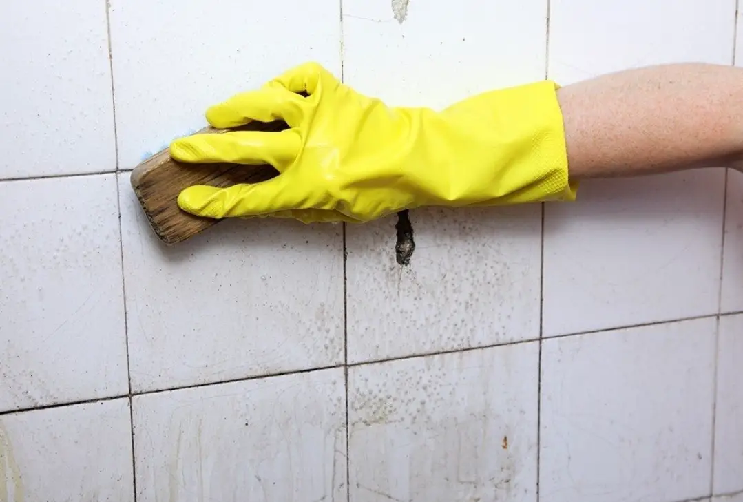 居家黴菌大作戰：根治黴菌的終極指南與常見錯誤解析