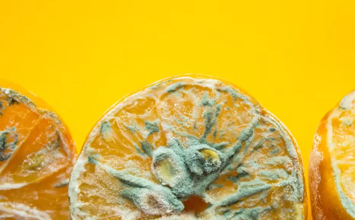 食物發霉處理