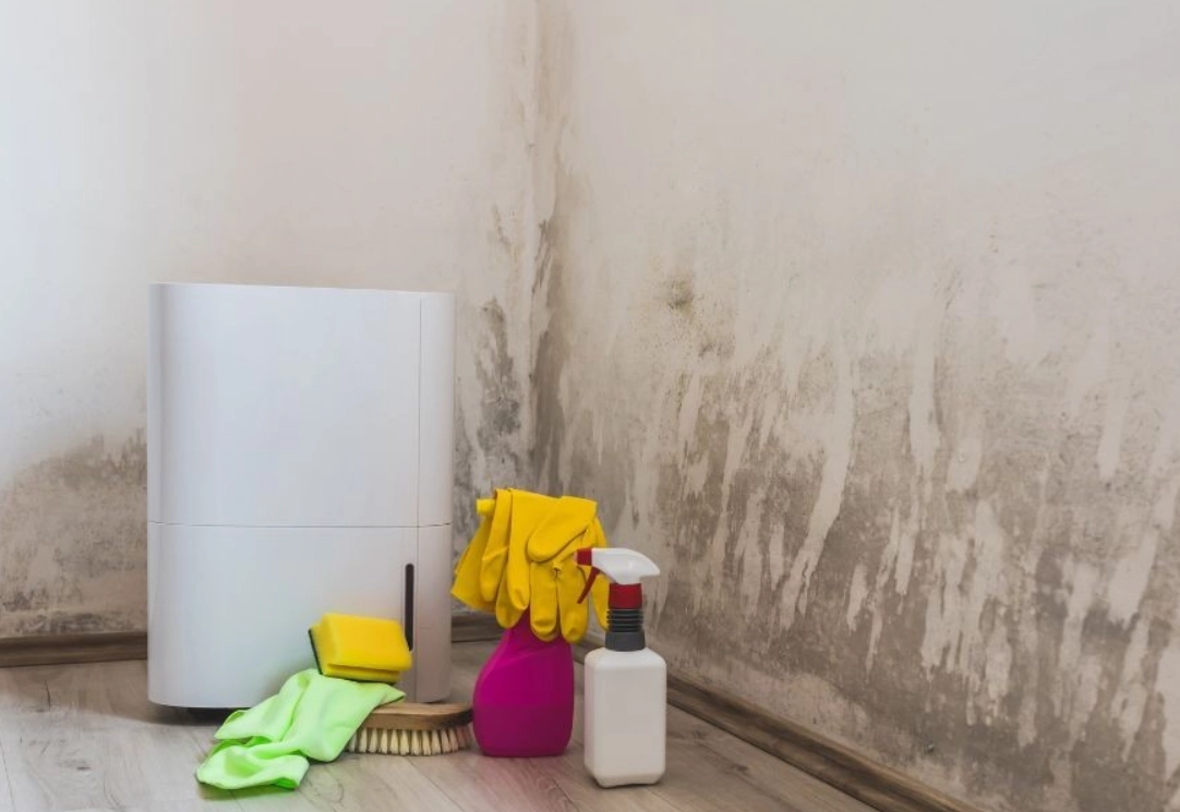 辦公室除霉方法