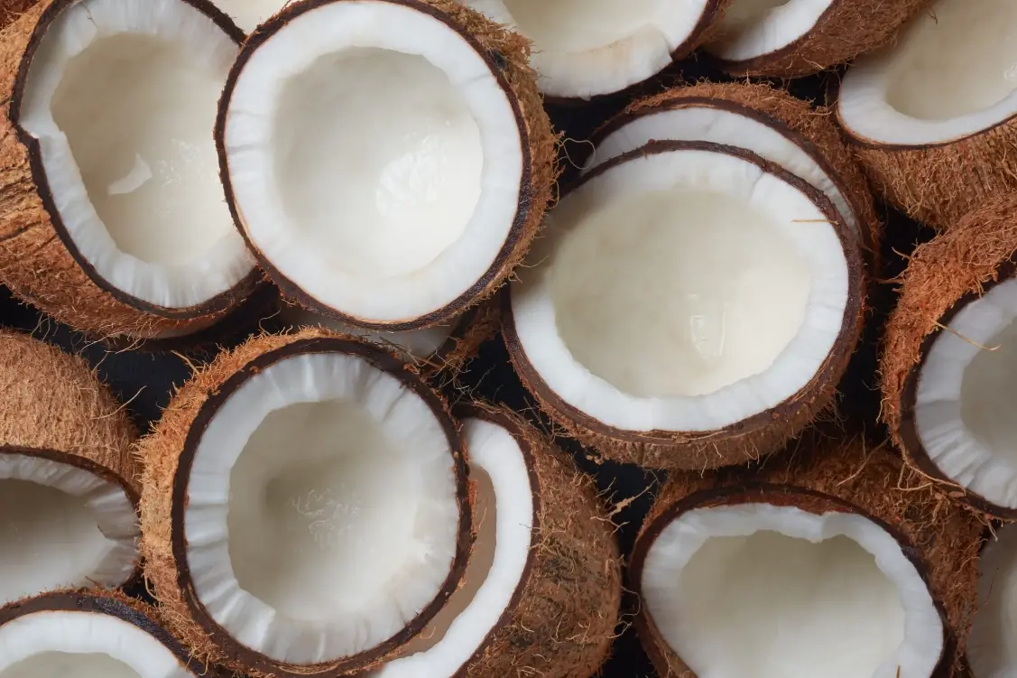 椰子肉壞處解析：熱量陷阱與三大族群食用禁忌